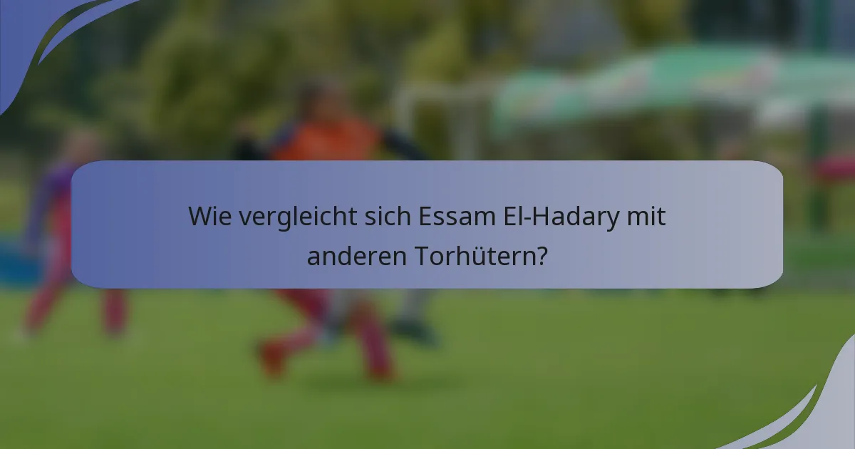 Wie vergleicht sich Essam El-Hadary mit anderen Torhütern?